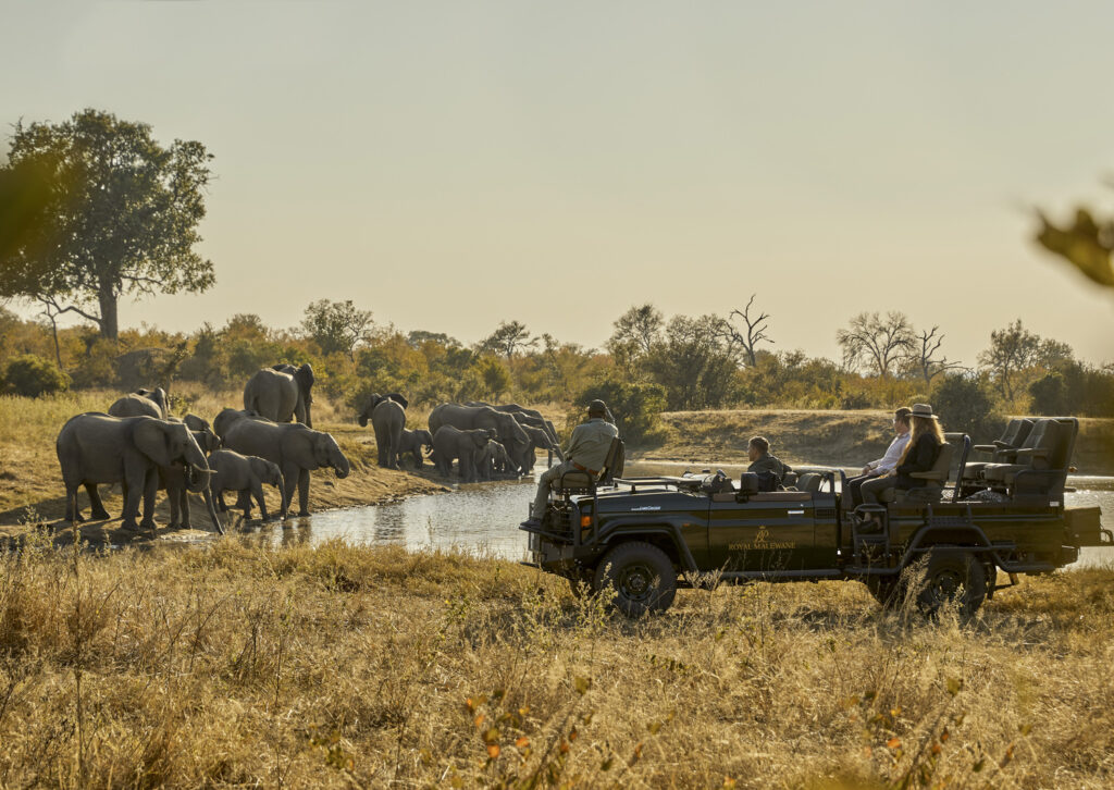 Viaje a Sudáfrica, destino de lujo para descubrir África