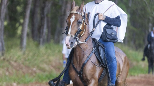 Sergio Núñez Hartmann Recorrido a Caballo Casa de Campo