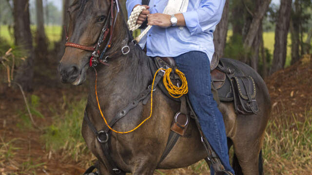 Jorge Centeno Recorrido a Caballo Casa de Campo