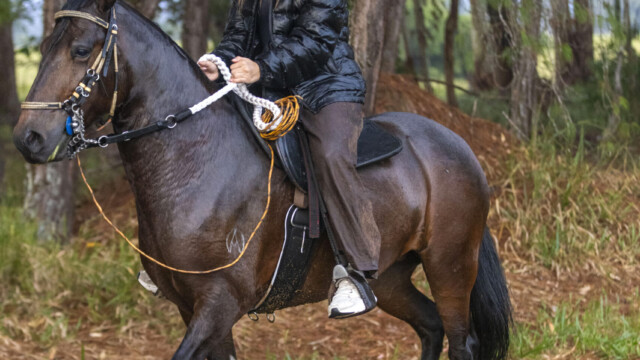 Mónica Chinchilla Recorrido a Caballo Casa de Campo