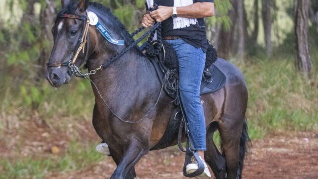 Óscar Torres Cartagena Recorrido a Caballo Casa de Campo