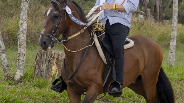 Iván Fernando Aguilar Recorrido a Caballo Casa de Campo